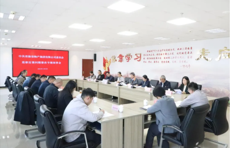 集團(tuán)黨委召開(kāi)巡察反饋問(wèn)題整改專題部署會(huì)